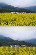 足球比分单场固定-足球比分单场固定，一场关于策略、风险与机遇的深度剖析